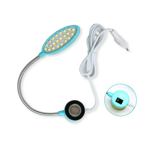 Lamp with magnetic mounting